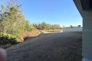 1415 Fox Squirrel Dr, Davenport, FL 33897 - Photo 4