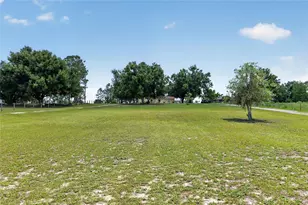 3830 Griffin View Dr, Lady Lake, FL 32159 - Photo 84