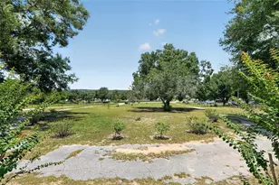 3830 Griffin View Dr, Lady Lake, FL 32159 - Photo 6