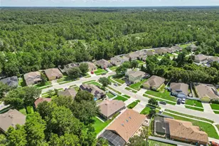 3528 Berkshire Woods Terrace, Deltona, FL 32725 - Photo 60