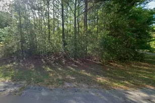 8961 N Conch Terrace, Dunnellon, FL 34434 - Photo 1