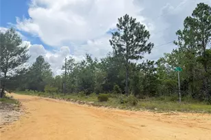 100 Linda Ln, Interlachen, FL 32148 - Photo 1