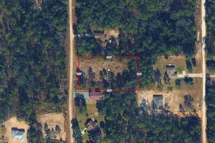 7705 SW 135th Terrace Rd, Dunnellon, FL 34432 - Photo 1