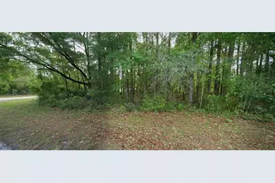 10181 N Gardner Way, Citrus Springs, FL 34434 - Photo 1