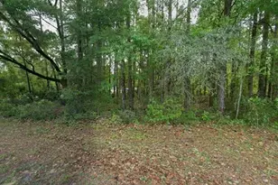 10181 N Gardner Way, Citrus Springs, FL 34434 - Photo 1