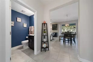 11059 Longleaf Woods Dr, Orlando, FL 32832 - Photo 4