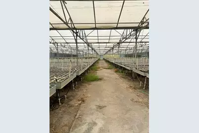 33322 County Road 437, Sorrento, FL 32776 - Photo 26