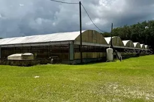 33322 Co Rd 437, Sorrento, FL 32776 - Photo 2