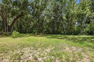3555 Rolling Hills Ln, Apopka, FL 32712 - Photo 44