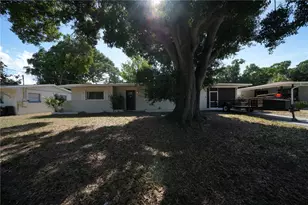 4517 S Clark Ave, Tampa, FL 33611 - Photo 2