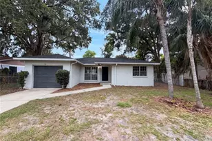 4209 E Alene Dr, Tampa, FL 33617 - Photo 1