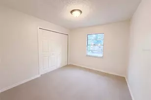4209 E Alene Dr, Tampa, FL 33617 - Photo 4