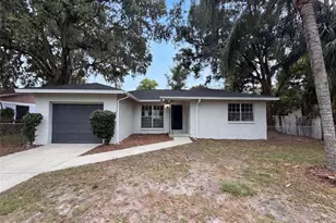 4209 E Alene Dr, Tampa, FL 33617 - Photo 18