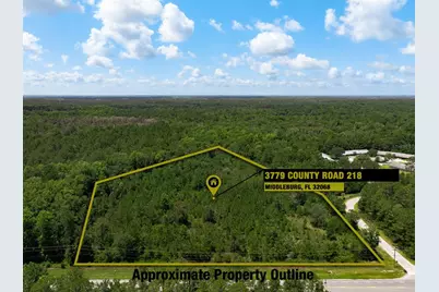 3779 County Road 218, Middleburg, FL 32068 - Photo 1
