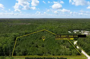 3779 Co Rd 218, Middleburg, FL 32068 - Photo 1