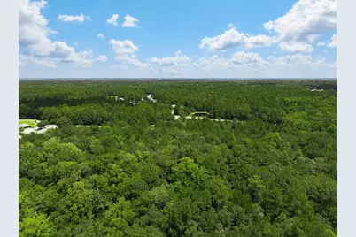 3779 County Road 218, Middleburg, FL 32068 - Photo 6