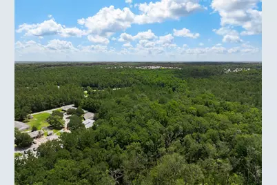 3779 County Road 218, Middleburg, FL 32068 - Photo 4