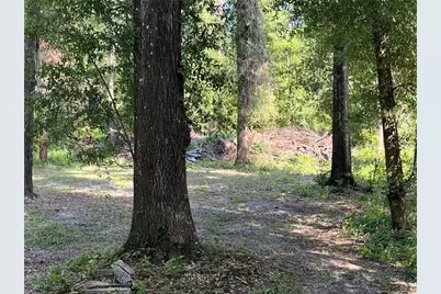 10452 County Road 136, Live Oak, FL 32060 - Photo 4