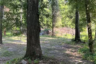 10452 Co Rd 136, Live Oak, FL 32060 - Photo 4