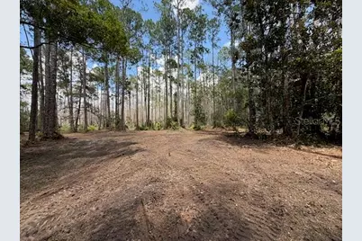 9th Avenue, Deland, FL 32724 - Photo 4