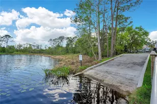 10654 Royal Cypress Way, Orlando, FL 32836 - Photo 60