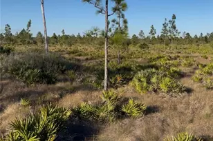 Holopaw Groves Rd, Saint Cloud, FL 34771 - Photo 1