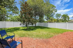 2580 Plumadore Dr, Grand Island, FL 32735 - Photo 58