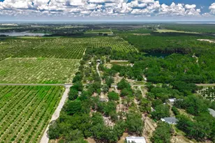 8170 Dogyard Rd, Lake Wales, FL 33898 - Photo 58