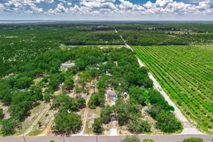 8170 Dogyard Rd, Lake Wales, FL 33898 - Photo 50