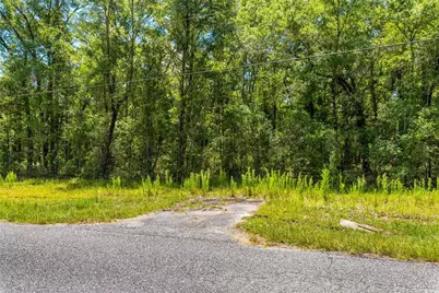Lot 5 SW Meadowlands Drive, Lake City, FL 32024 - Photo 10