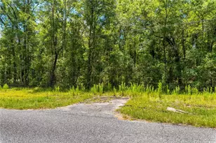 Lot 5 SW Meadowlands Dr, Lake City, FL 32024 - Photo 10