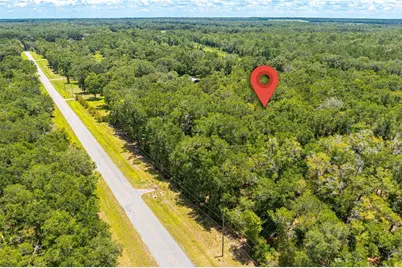 Lot 5 SW Meadowlands Drive, Lake City, FL 32024 - Photo 6