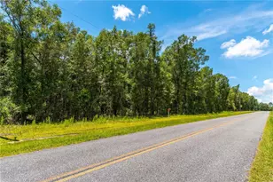 Lot 5 SW Meadowlands Dr, Lake City, FL 32024 - Photo 8
