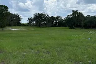 8881 Deer Run Dr, Lake Wales, FL 33898 - Photo 4