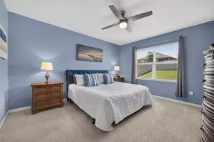 5264 Greenheart Ave, Mount Dora, FL 32757 - Photo 16