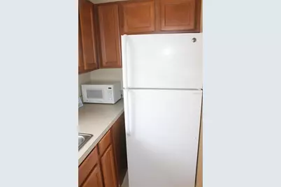 14252 Confetti (Garage Apartment) Drive, Windermere, FL 34786 - Photo 16