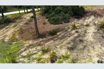 486 Dreamland Drive, Lake Placid, FL 33852 - Photo 2