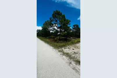 486 Dreamland Drive, Lake Placid, FL 33852 - Photo 4
