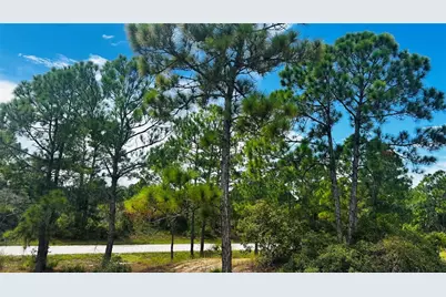 486 Dreamland Drive, Lake Placid, FL 33852 - Photo 1