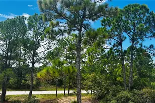 486 Dreamland Dr, Lake Placid, FL 33852 - Photo 1