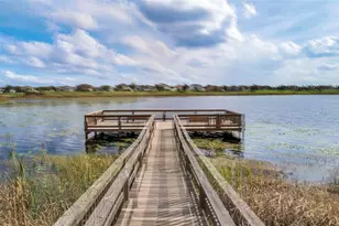 7055 Scarlet Ibis Ln, Winter Garden, FL 34787 - Photo 52