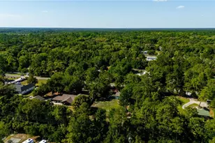 32316 Chipola Trail, Sorrento, FL 32776 - Photo 20