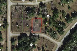 599 E Jewel Ln, Dunnellon, FL 34434 - Photo 1