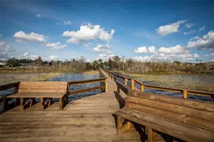 19337 Spring Oak Dr, Eustis, FL 32736 - Photo 60