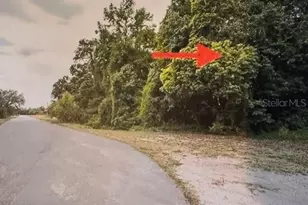 Iron Bridge Rd, Oviedo, FL 32765 - Photo 1