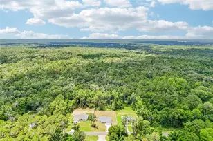 353 W Eridani Ct, Citrus Springs, FL 34434 - Photo 50