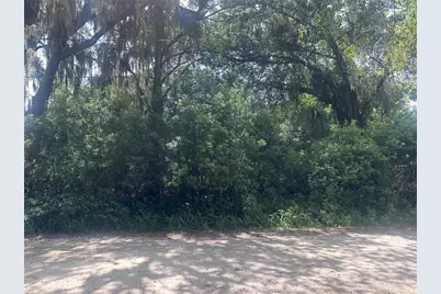 1622 Palm Street, Deland, FL 32720 - Photo 2