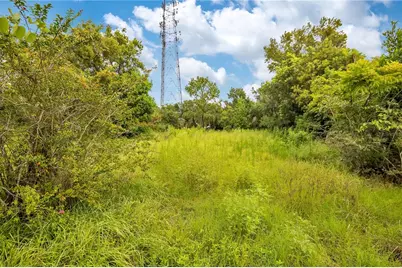147 E Sandpiper Street, Apopka, FL 32712 - Photo 4