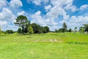 700 Split Hoof Dr, Saint Cloud, FL 34771 - Photo 44