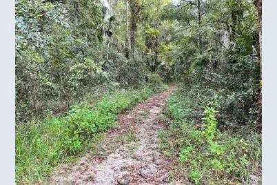 2856 NE 104th Avenue, Silver Springs, FL 34488 - Photo 50